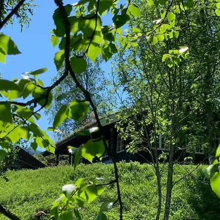 Kultan