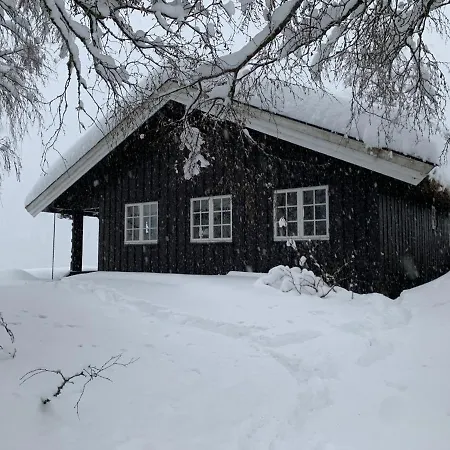 Kultan