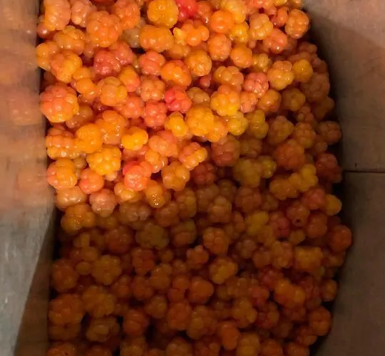 Vakantiehuis Kultan *